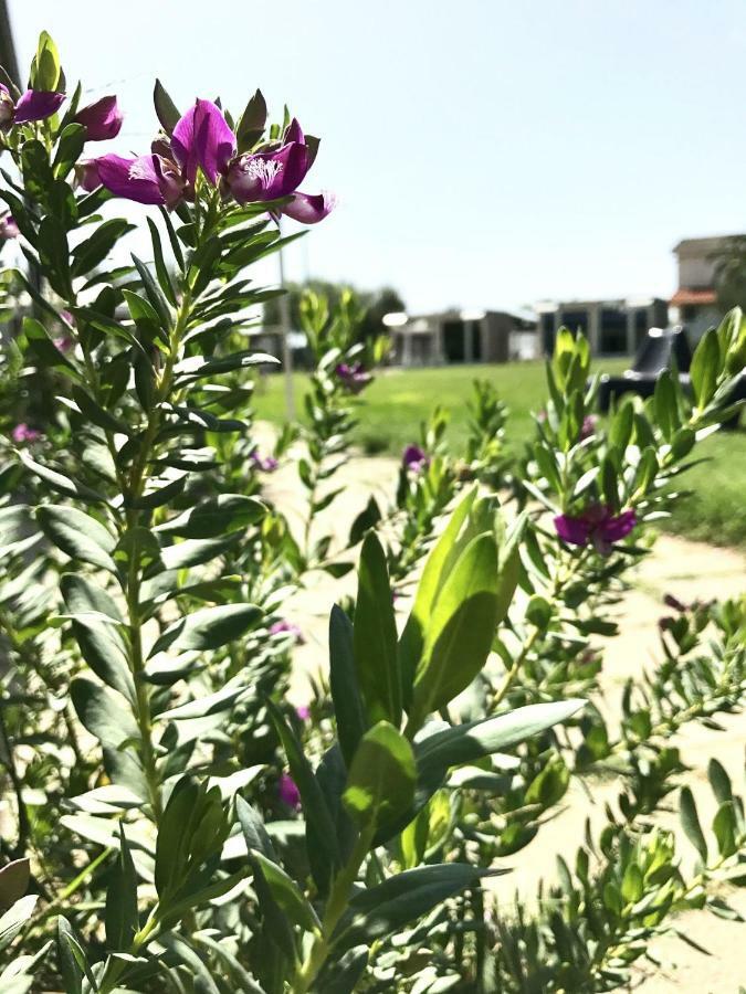 B&B Villa Degli Angeli Bernalda Dış mekan fotoğraf